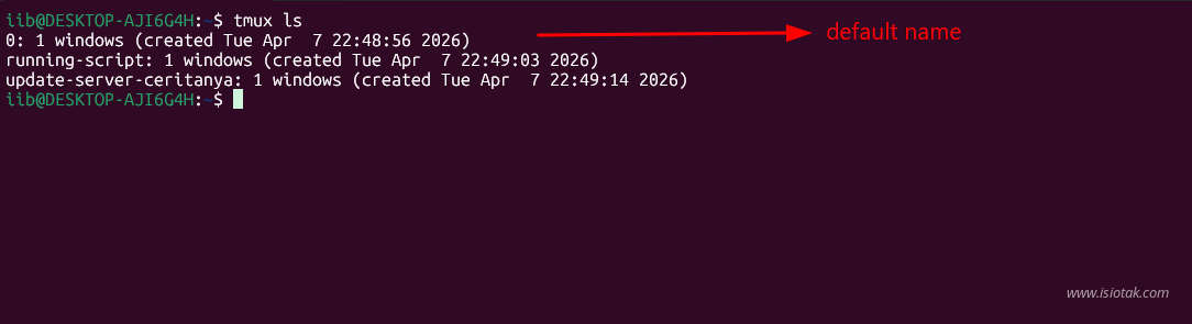 tmux session list