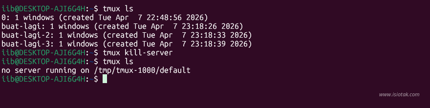 tmux kill server example