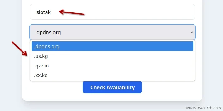 custom domain extension digitalplat