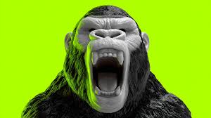 Kong Api gateway