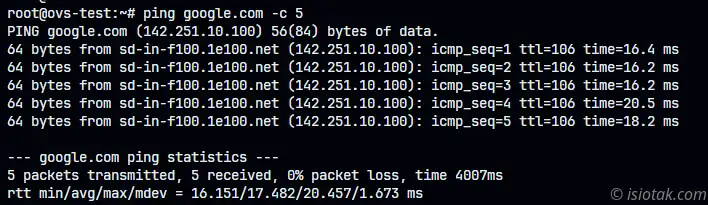 ping test